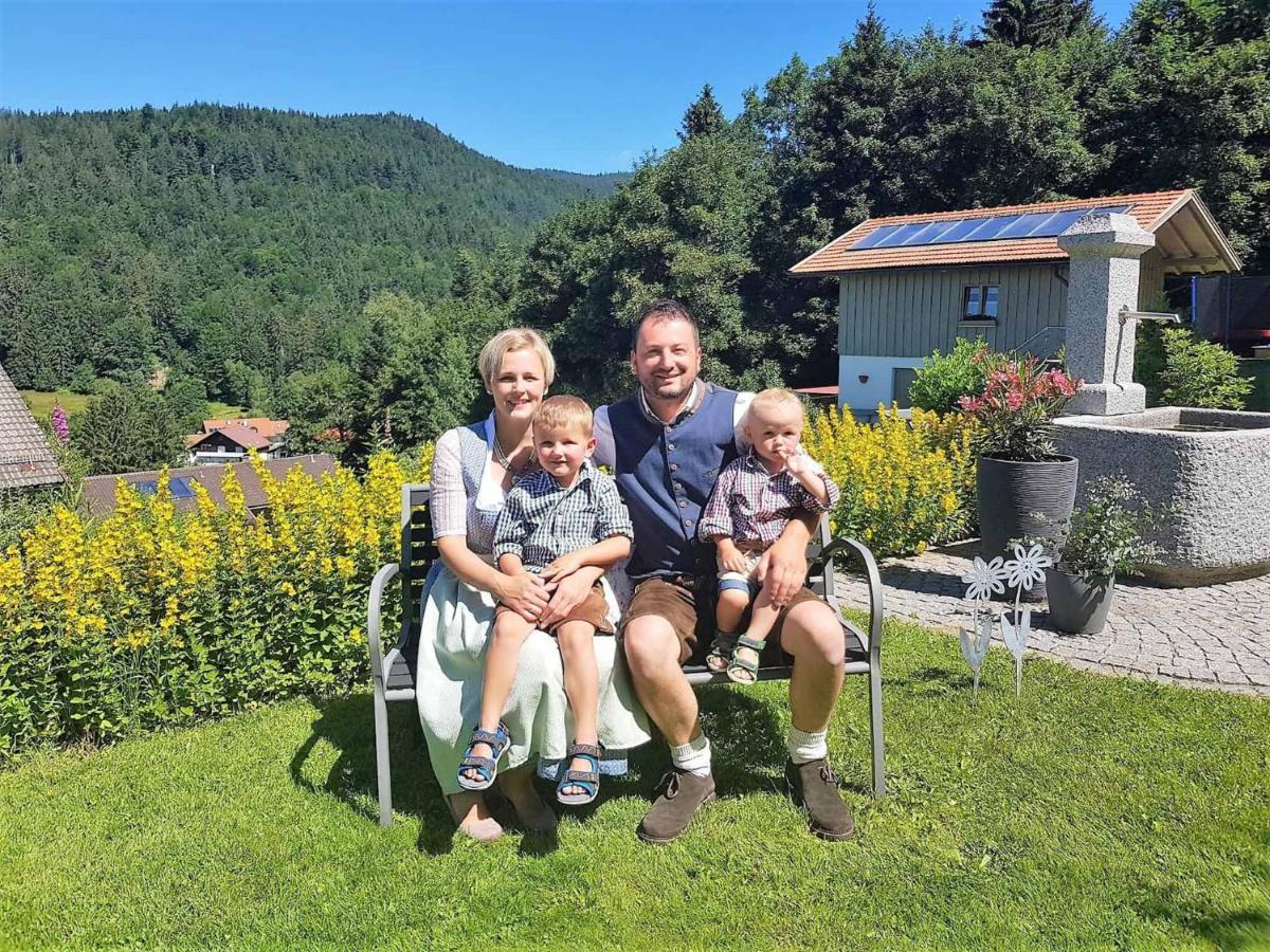 Ferienwohnungen Geiger Bodenmais Dış mekan fotoğraf